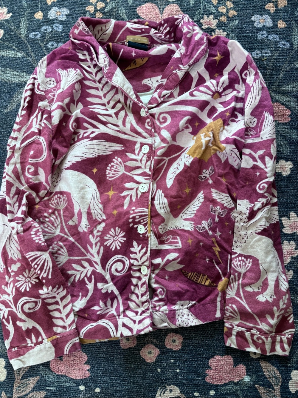 Harry Potter Pottery Barn Teen Pajama Matching Set